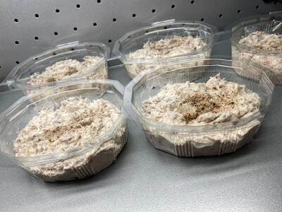 Rillettes de thon frais Faites Maison