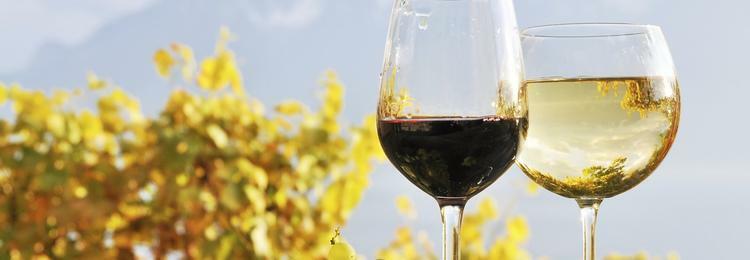 Wine (Must be 21 to purchase) ***DINE-IN ONLY***