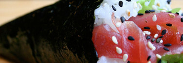 Handroll (2 stuks)