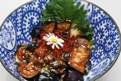 Nasu Den (V)