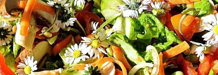 VERDE Y FRESCO