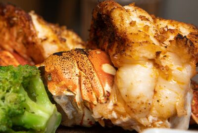 LOBSTER TAIL [(1) 8 OZ.]