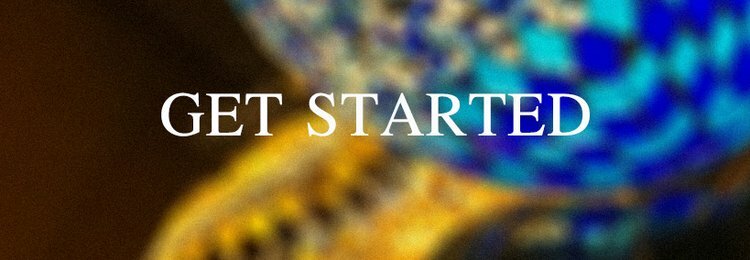 GET STARTED