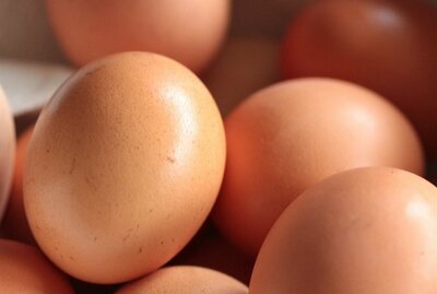 Fresh Country Eggs - (Dozen)