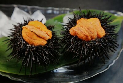 Uni Sashimi (1 PC)