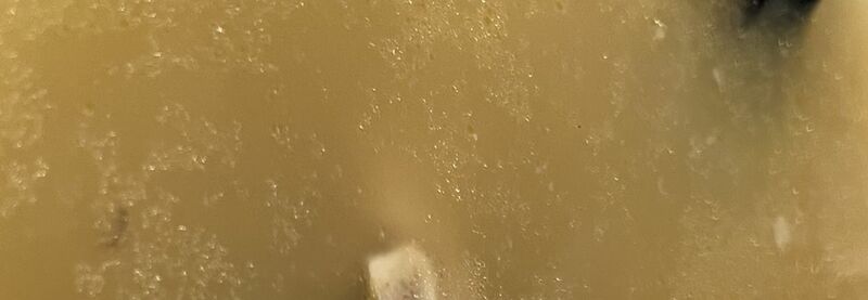 湯類